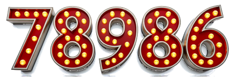 78986 game logo